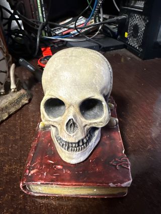 Set Esqueletos y Calavera Decoración