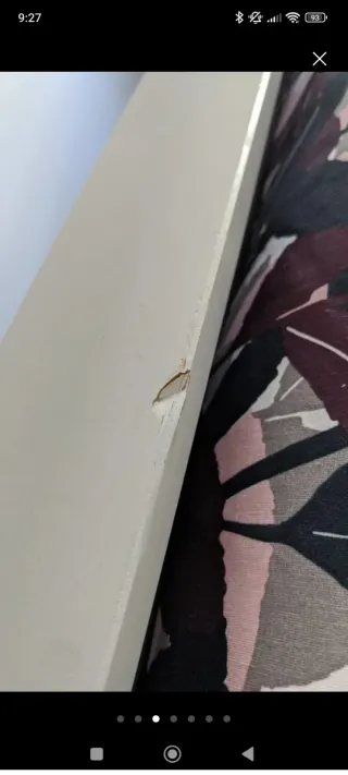 Cama Ikea Hermes  180