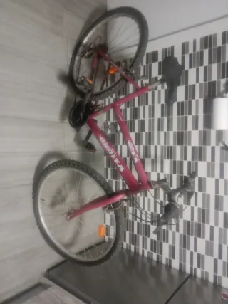 Bicicleta Órbita Adiluto