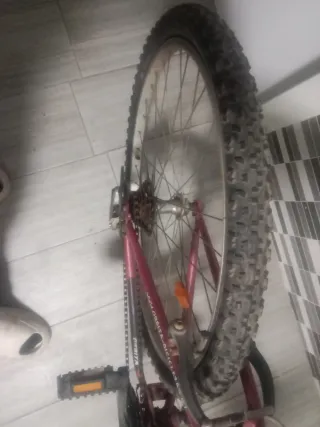 Bicicleta Órbita Adiluto