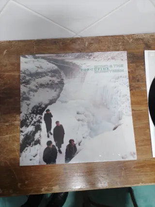 Vinilo Echo & The Bunnymen Indie
