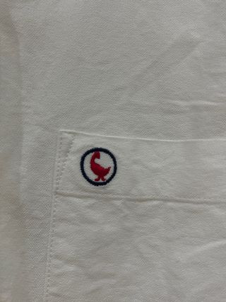 Camisas El Ganso Talla L (Azul y Blanca)