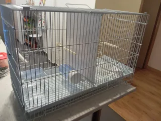 Gabbia per uccelli da allevamento