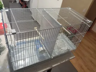 Gabbia per uccelli da allevamento