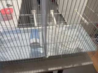 Gabbia per uccelli da allevamento