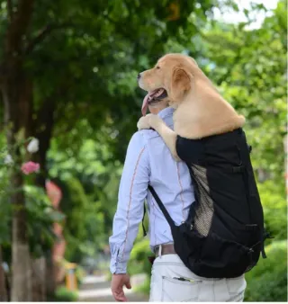 Borsa Trasporto Cane Woolala Nera Nuova