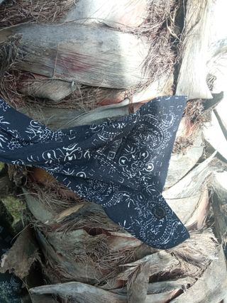 Vestido Scalpers estampado negro