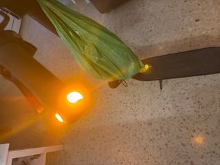 Patinete electrico ninebot