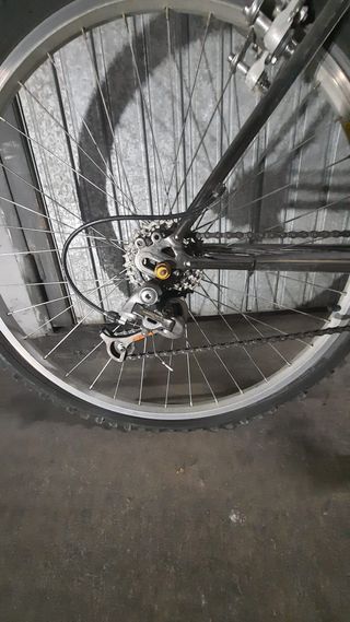 Bicicleta Orbea Mustang