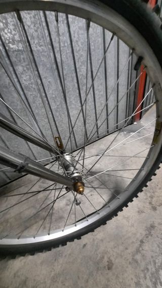 Bicicleta Orbea Mustang