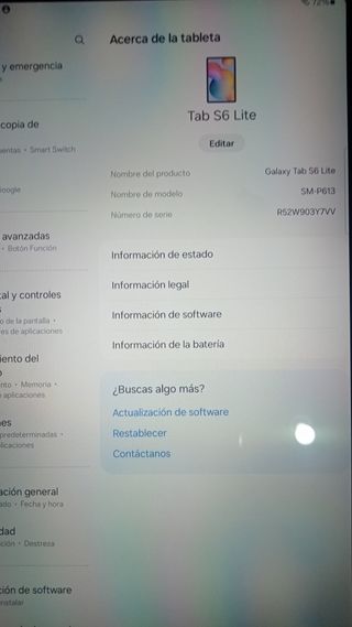 Samsung Galaxy Tab S6 Lite + Funda + Protector