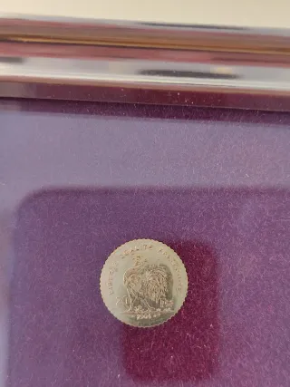 Moneta francese da 20 Fr. (Galletto del 1901)