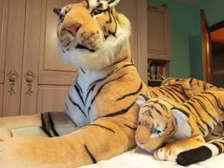 Lote peluche tigre grande y cachorro