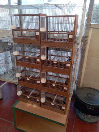 8 Jaulas C2 con Bandeja y Rejilla