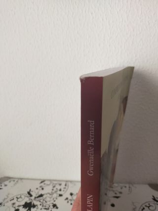 Libro: Comprendre et éduquer son lapin lapin