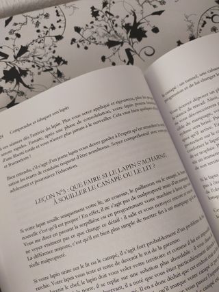 Libro: Comprendre et éduquer son lapin lapin