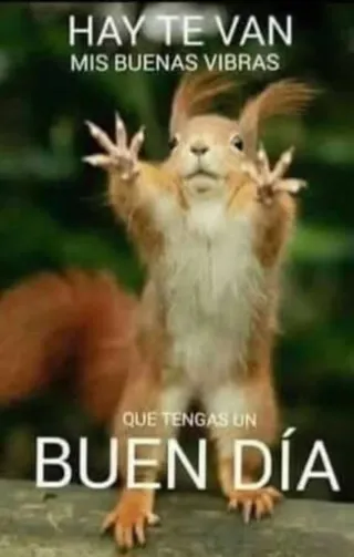 Se vende derecho pac de pago unico