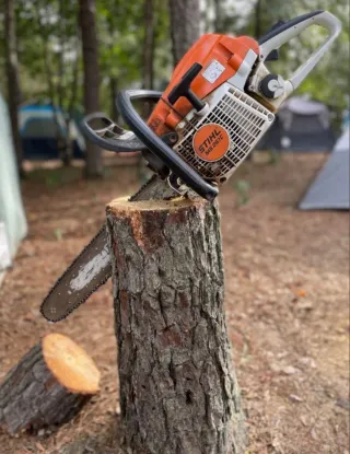 PODAS Y TALAS + RETIRADA MEGA BARATA