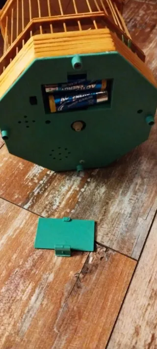 Gabbietta con uccellino sonoro