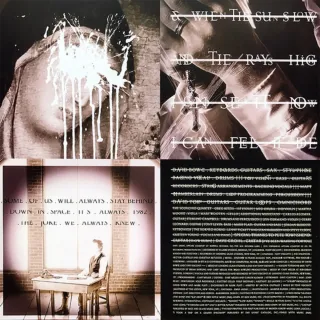 David Bowie - Heathen vinilo