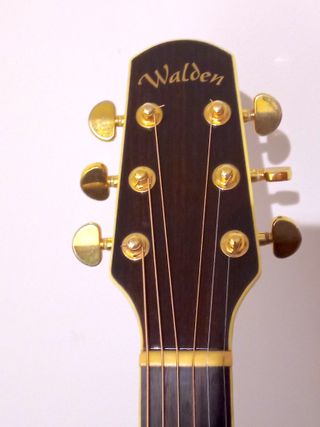 Guitarra Acústica Walden D-510Q