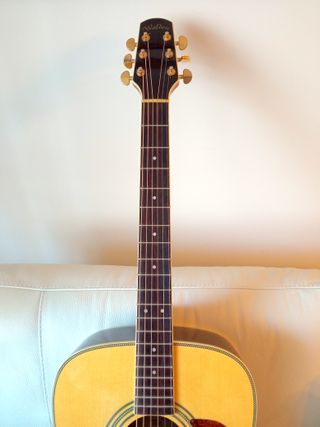 Guitarra Acústica Walden D-510Q