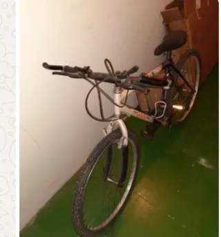 Bicicleta de Montaña