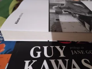 ¿Qué pasa con Baum?