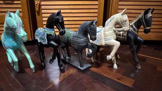 Collezione Cavalli Decorativi