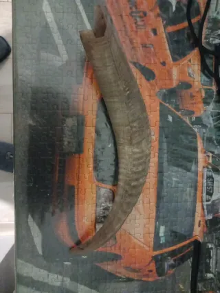 Cuerno de carnero decorativo