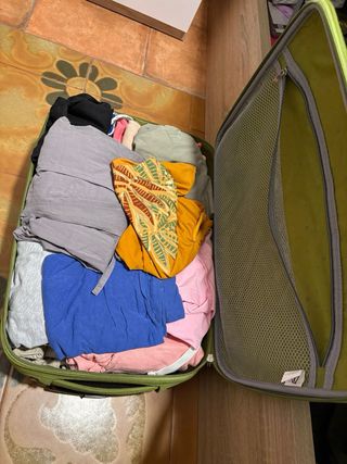 Maleta de cabina dos ruedas ROSA