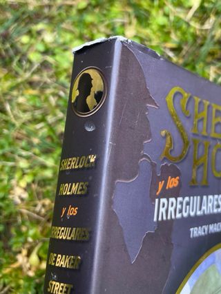 NUEVO Sherlock Holmes Irregulares Baker Street