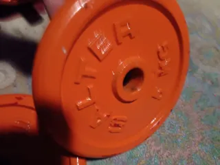 2 Discos Salter Naranja de 5kg