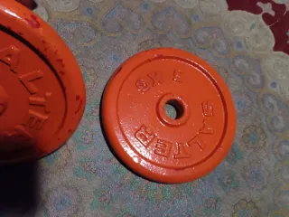 2 Discos Salter Naranja de 5kg