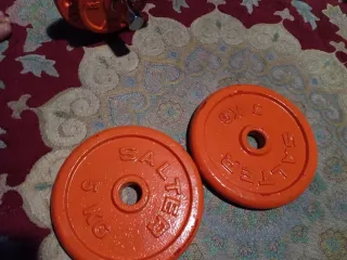 2 Discos Salter Naranja de 5kg