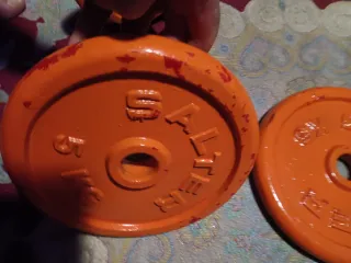 2 Discos Salter Naranja de 5kg