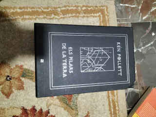 Els pilars de la Terra