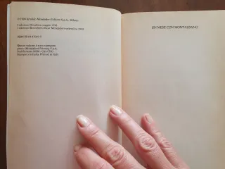 Un mese con Montalbano