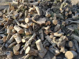 Leña seca para chimenea