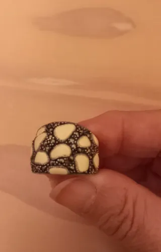 Anillo Plata Piel Serpiente Blanco