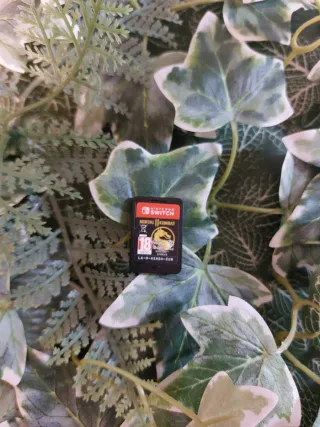 Mortal Kombat 11 Nintendo Switch Cartucho