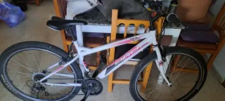 Bicicleta Blanca y Rosa