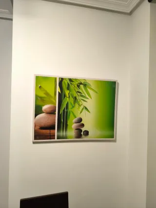 Set di 3 quadri con motivi floreali