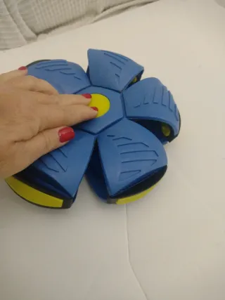 Juguete Phlat Ball Clásico Azul y Amarillo