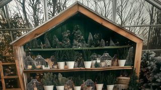 Fondo de Navidad para eventos