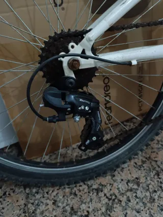 Bicicleta Infantil 24 Pulgadas