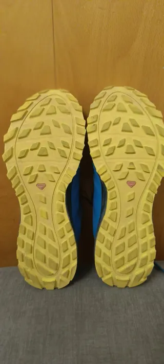 Zapatillas Trail Running Salomón Trailster 2