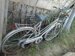 Bicicleta Clásica Plata