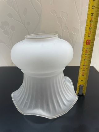 Tulipa cristal antigua blanca