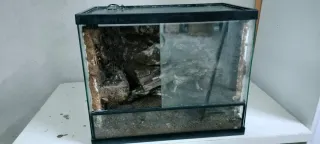 Terrario para mascotas